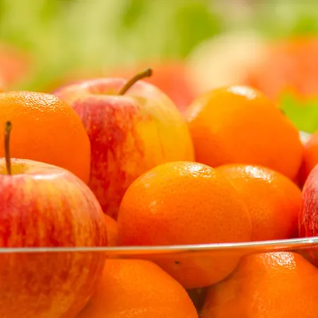 호텔 보르게스 3*